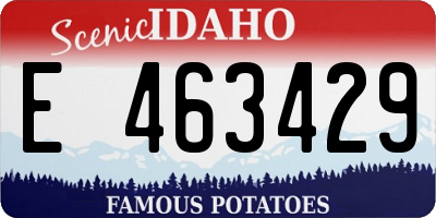 ID license plate E463429