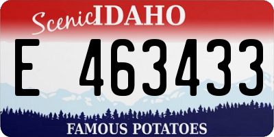 ID license plate E463433