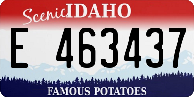 ID license plate E463437