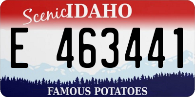 ID license plate E463441