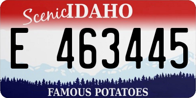 ID license plate E463445