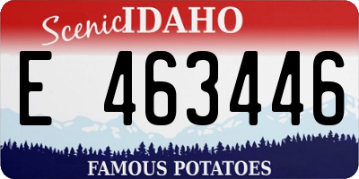 ID license plate E463446