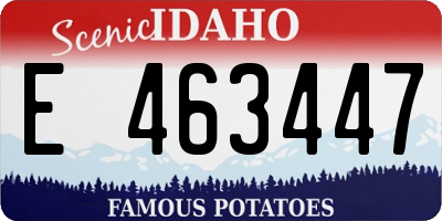 ID license plate E463447