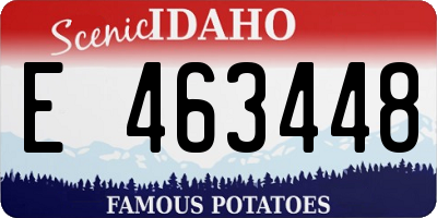 ID license plate E463448