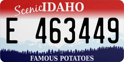 ID license plate E463449