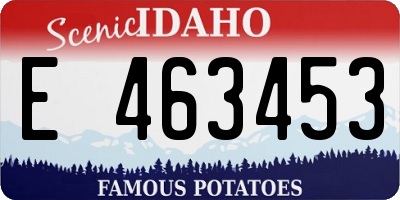 ID license plate E463453