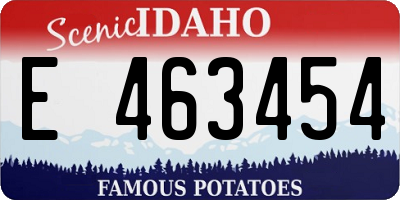 ID license plate E463454