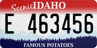 ID license plate E463456