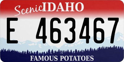 ID license plate E463467