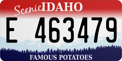 ID license plate E463479