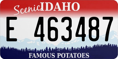 ID license plate E463487