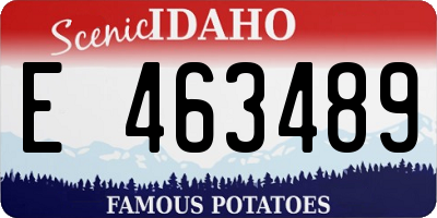ID license plate E463489