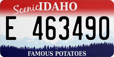 ID license plate E463490