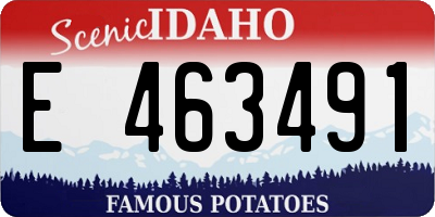 ID license plate E463491