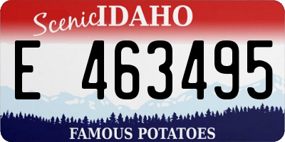 ID license plate E463495