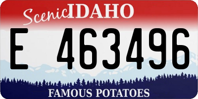 ID license plate E463496