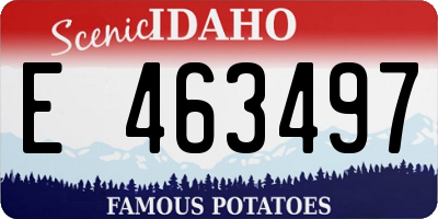 ID license plate E463497