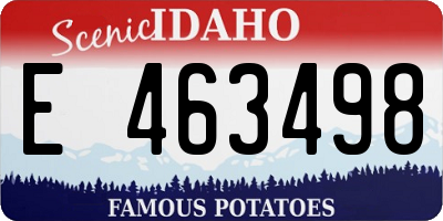 ID license plate E463498