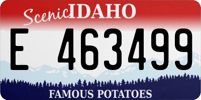 ID license plate E463499