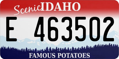 ID license plate E463502