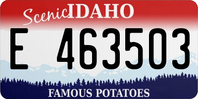 ID license plate E463503