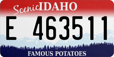 ID license plate E463511