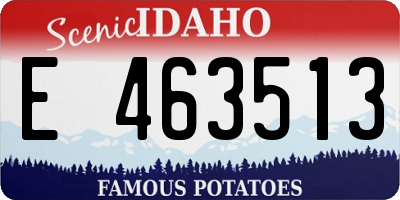 ID license plate E463513