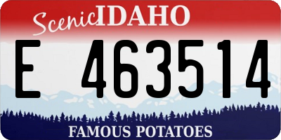 ID license plate E463514
