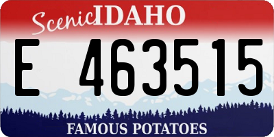 ID license plate E463515