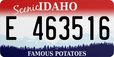 ID license plate E463516