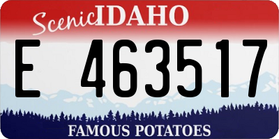 ID license plate E463517