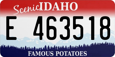 ID license plate E463518
