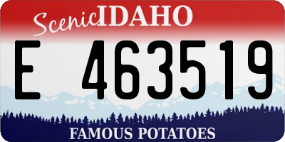 ID license plate E463519