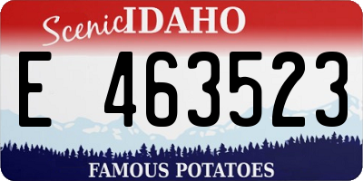 ID license plate E463523