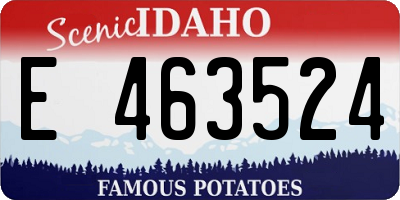 ID license plate E463524
