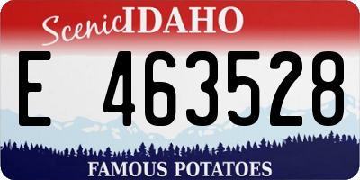 ID license plate E463528