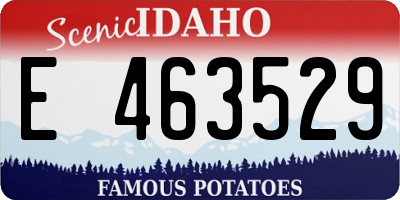 ID license plate E463529