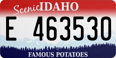 ID license plate E463530