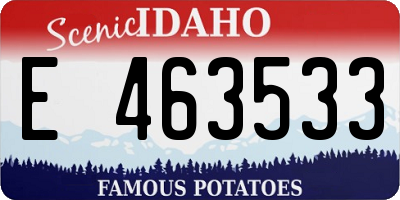 ID license plate E463533