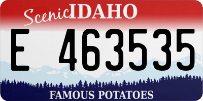 ID license plate E463535