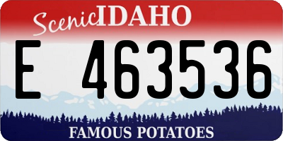 ID license plate E463536