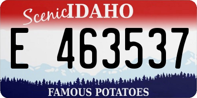 ID license plate E463537