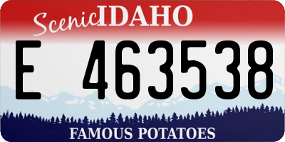ID license plate E463538