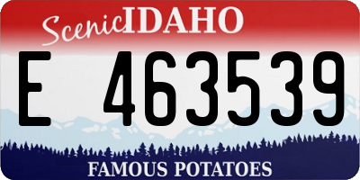 ID license plate E463539