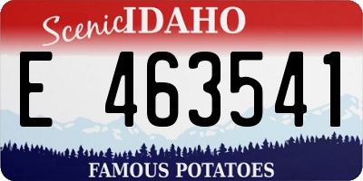 ID license plate E463541