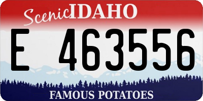 ID license plate E463556
