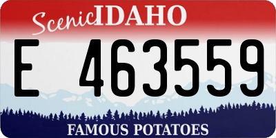ID license plate E463559