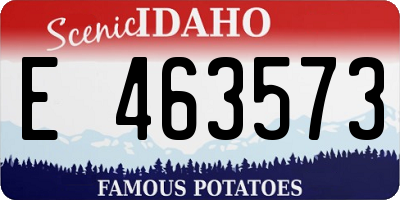 ID license plate E463573