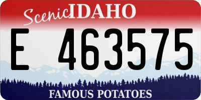 ID license plate E463575