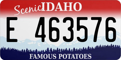 ID license plate E463576
